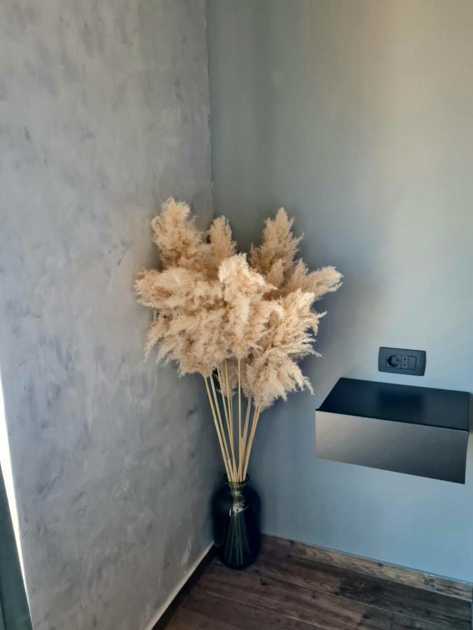 Modern Studio With A Beautiful View Rab Town Exteriör bild